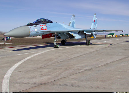 Su-35 takes the world stage